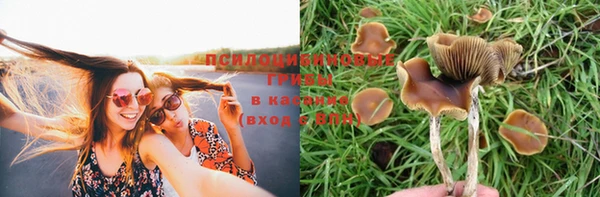 метамфетамин Армянск
